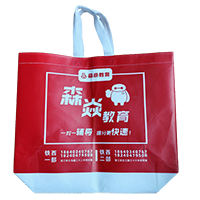 荣昌LB37培训班广告袋